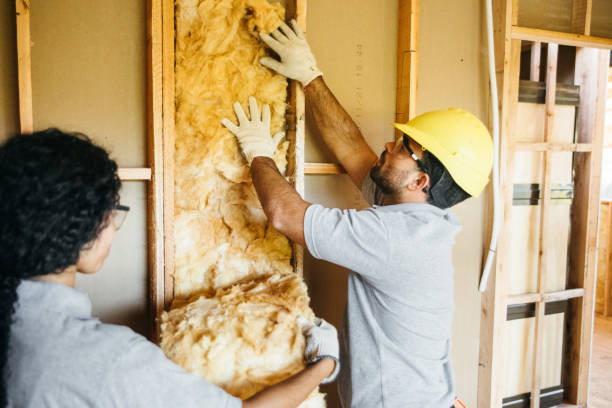 Types of Insulation We Offer in Pleasant Ridge, MI